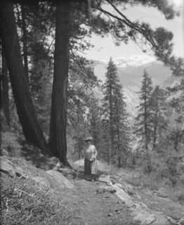 Travel views of Yosemite National Park, between 1903 and 1906. Creator: Arnold Genthe.