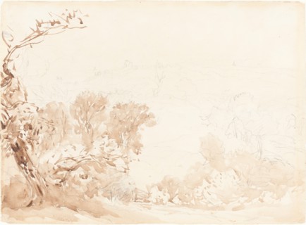 Hillside and Trees. Creators: David Cox, David Cox the elder.