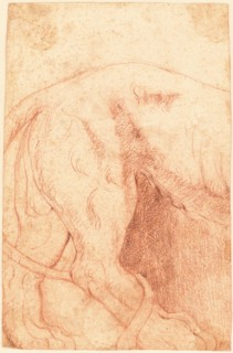 Fragment of a Lion Bas-Relief (verso), 1750s. Creator: Giovanni Battista Piranesi.