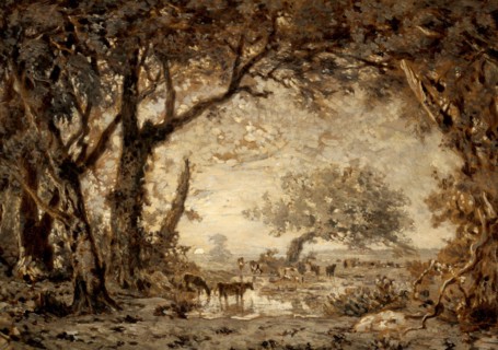 Sunset from the Forest of Fontainebleau, 1848. Creator: Theodore Rousseau.