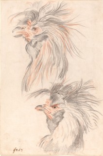 Fighting Cock, c. 1775. Creator: Johann Rudolf Schellenburg.