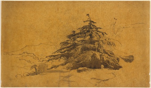 Study of Trees in a Landscape. Creator: John Varley I.