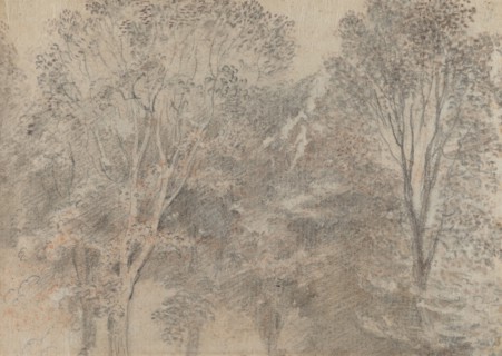Treetops [verso]. Creator: Jean-Antoine Watteau.