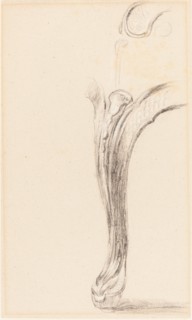 Study of a Chair Leg. Creator: David Wilkie.