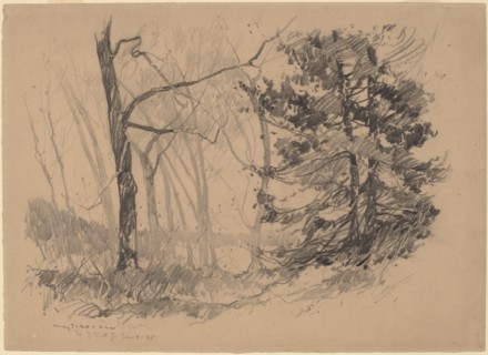 Wood Interior, 1920. Creator: Charles Herbert Woodbury.