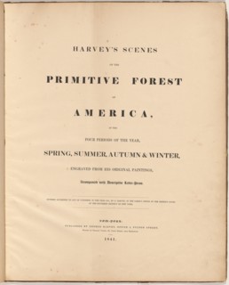 Harvey's Scenes of the Primitive Forest, 1841. Creators: William James Bennett, George Harvey, George Harvey.