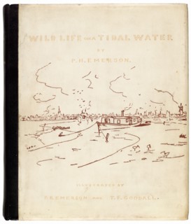 Wild Life on a Tidal Water, 1890. Creators: Peter Henry Emerson, T. F. Goodall.