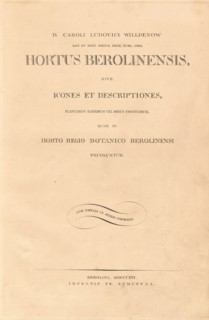 Hortus Berolinensis, 1816. Creators: Carl Ludwig Willdenow, Friedrich Guimpel.