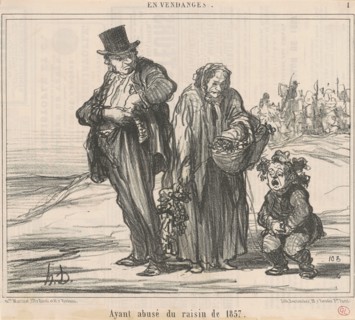 Ayant abusé du raisin de 1857, 19th century. Creator: Honore Daumier.