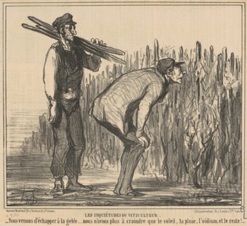 Les inqiétudes du viticulteur, 19th century. Creator: Honore Daumier.