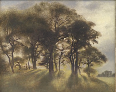 Near Fortunen, Jægersborg Deer Park, North of Copenhagen;From the Deerpark near Copenhagen, 1901. Creator: Vilhelm Hammershøi.