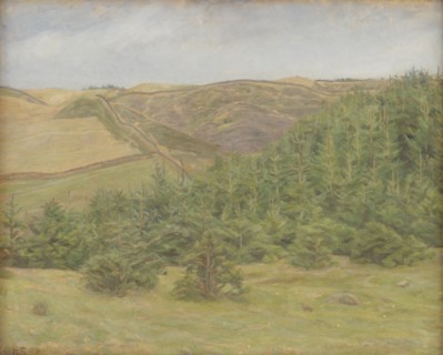Svanninge Hills, Funen, 1898. Creator: Karl Schou.
