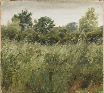Field of Oats near Vejby, 1843. Creator: Peter Christian Thamsen Skovgaard.
