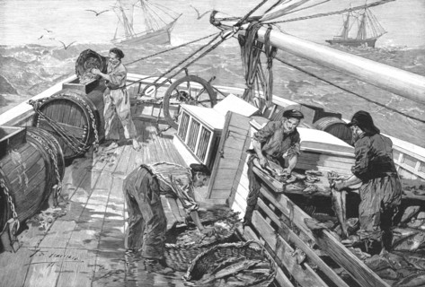 'The Newfoundland Cod Fishery; The "Parks," or Moveable Enclosures, on Board the Fishing...', 1891. Creator: Unknown.