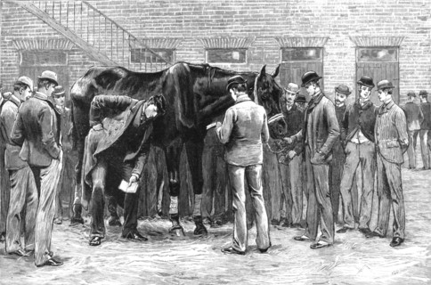 'The Centenary of the Royal Veterinary College, Camden Town; Free Practice -- Sounding...', 1819. Creator: Unknown.