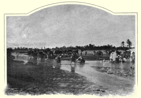 ''Gafsa. L'Oued Baiech; Afrique du nord', 1914. Creator: Unknown.