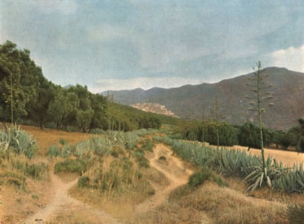 ''La Zaouia du Moulay Idriss; Afrique du nord', 1914. Creator: Jules Gervais-Courtellemont.