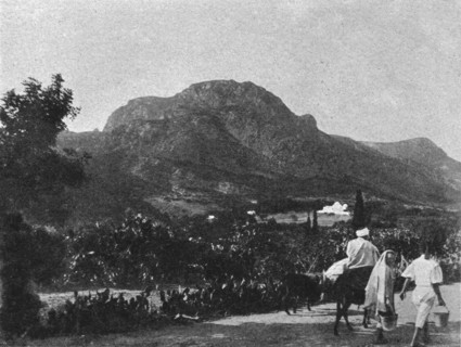 ''Zaghouan. Le grand pic; Afrique du nord', 1914. Creator: Unknown.