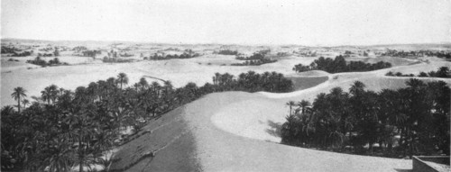 ''Le bas Sahara-Les Oasis, Oued Souf. La palmeraie; Afrique du nord', 1914. Creator: Goubault.