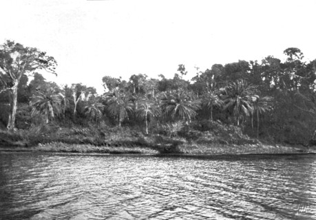 ''Bords du Comoe; L'Ouest Africain', 1914. Creator: Unknown.