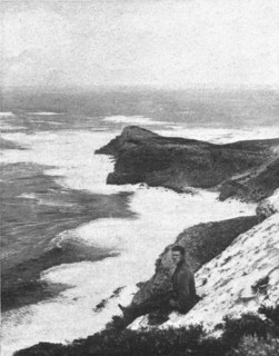 ''Le Cap de Bonne Esperance; Afrique Australe', 1914. Creator: Unknown.
