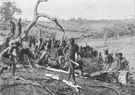 'Indigenes de la Rhodesia defrichant une foret pour l'etablissement d'une plantation de..., 1914. Creator: Unknown.