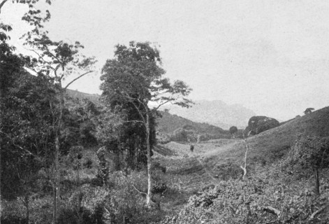 ''Dans les montagnes de l'Usambara; Afrique Australe', 1914. Creator: Unknown.