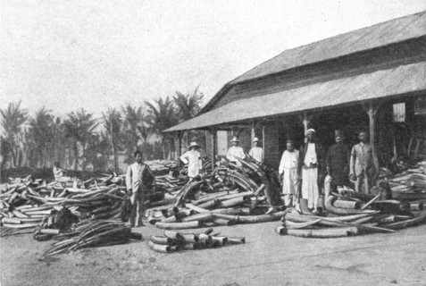 ''Un depot d'ivoire dans lAfrique orientale allemande; Afrique Australe', 1914. Creator: Unknown.