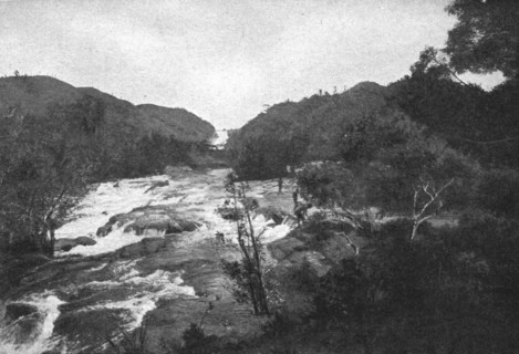 ''Une riviere en foret. L'lantara; Iles Africaines de la mer des Indes', 1914. Creator: Unknown.