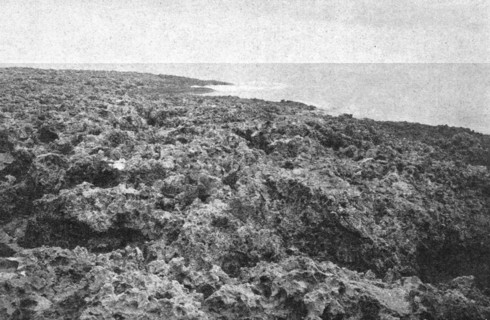 ''Une vue des cotes coralliennes de l'Australie; Les Terres Du Pacifique', 1914. Creator: Unknown.