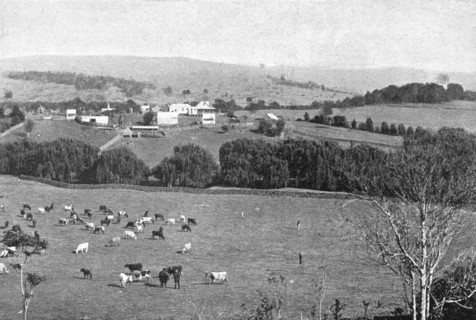 ''Une ferme dans la Nouvelle-Galles du Sud; Les Terres Du Pacifique', 1914. Creator: Unknown.