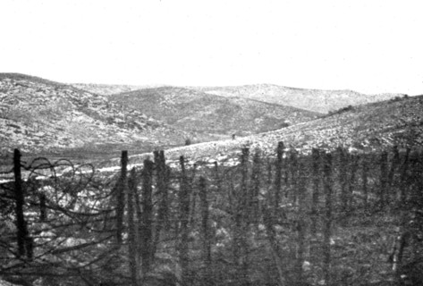 'La grande attaque du Carso (aout 1916); Sur le Carso de Monfalcone: massif du Mont Cosich', 1916 Creator: Unknown.