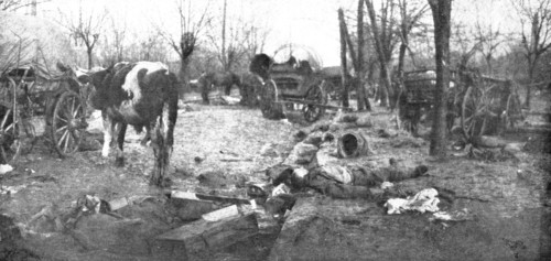 'La Serbie Victorieuse; l'etat de avenue du Bois de Topchidere, Belgrade', 1914. Creator: Unknown.