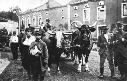 'En Alsace et sur la Frontiere; Bremenil, que traverse ce convoi de blesses', 1914. Creator: Unknown.