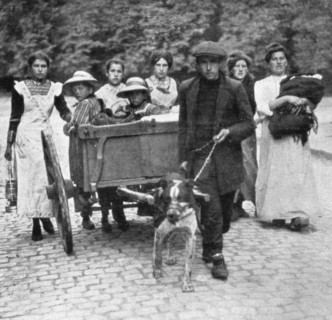 'Devant l'envahisseur; Beaucoup, qui ne possedent qu'un chien comme bete de trait', 1914. Creator: Unknown.