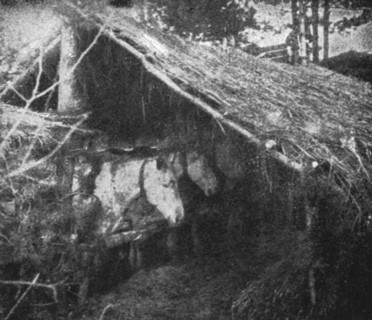 'Le front pittoresque; Villages de Paillot et Terriers a flanc de coteaux: Une ecurie', 1914. Creator: Unknown.