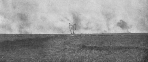 'Les Journees glorieuses de la Somme; La progression du 12 septembre, a l'est de Clery..., 1916. Creator: Unknown.