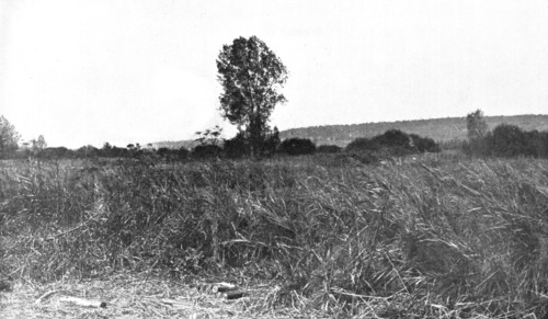 'L'immense champ de Bataille', 1914. Creator: Unknown.