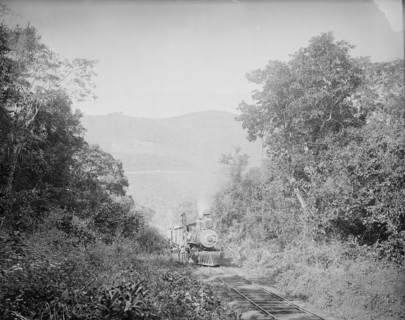 Train in Cafetal of Temasopa [sic], between 1880 and 1897. Creator: William H. Jackson.