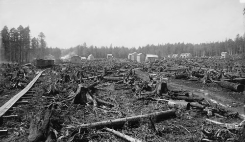 Birth of a city, Davis, W. Va. in 1885, c1885. Creator: William H. Jackson.