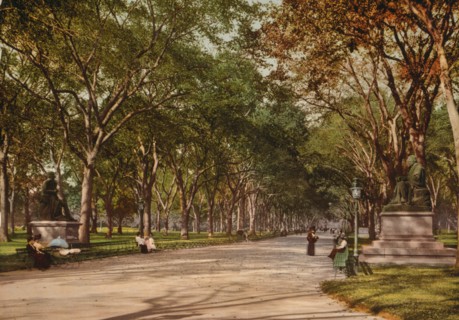 Lower end of mall, Central Park, New York, c1901. Creator: Unknown.