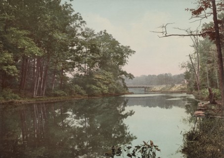 Bronx River in Bronx Park, New York, c1901. Creator: Unknown.