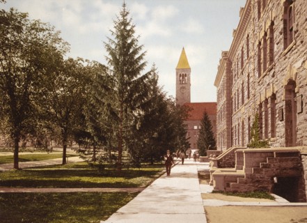 Morrill Hall and the Library, Cornell University, c1900. Creator: Unknown.