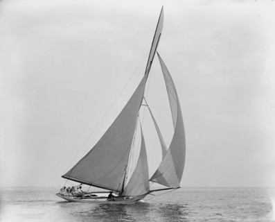 Hawk, July 22, 1891, 1891 July 22. Creator: Unknown.
