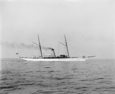 Scorpion, c1899. Creator: Unknown.