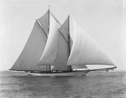 Merlin, 1892 Aug 8. Creator: Unknown.