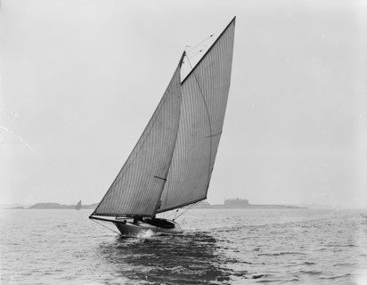 Thrush, 1892 Aug 13. Creator: Unknown.