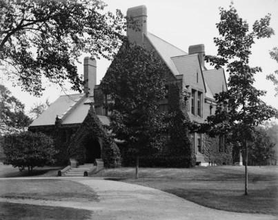 Divinity [School] Library, Harvard College, between 1900 and 1906. Creator: Unknown.