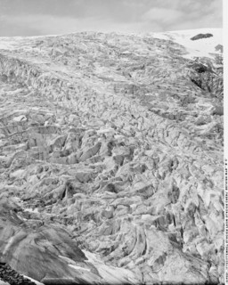 Illecillewaet Glacier from Glacier Crest, Selkirk Mts., B.C., between 1900 and 1906. Creator: Unknown.