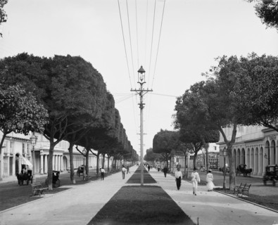 The Prado, looking north, Havana, Cuba, c1904. Creator: Unknown.